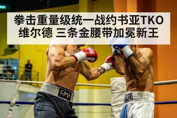 拳击重量级统一战约书亚TKO维尔德 三条金腰带加冕新王